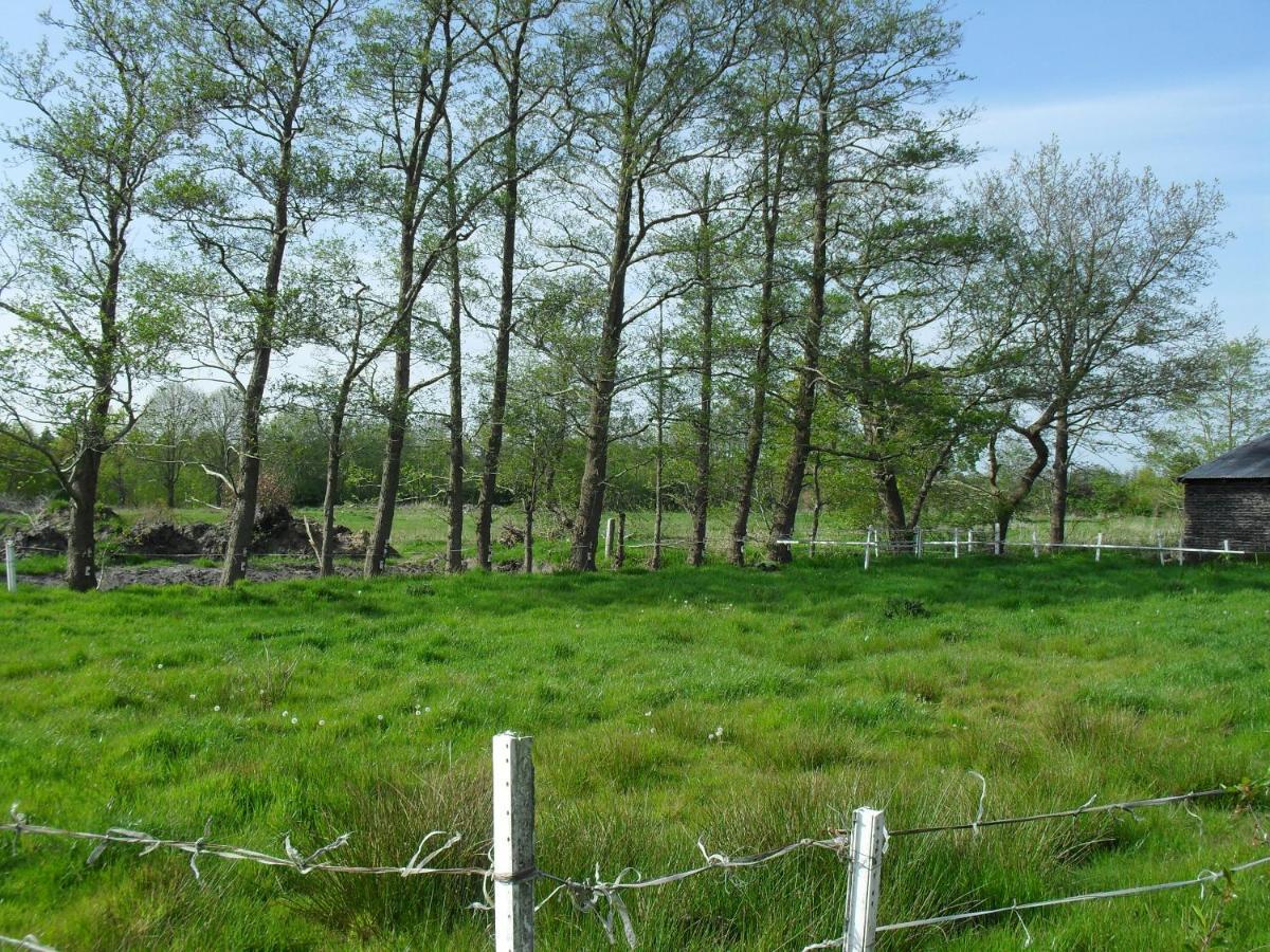Ferienhof Schlachter Berumbur Exteriér fotografie